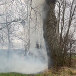 tn IMG 3836